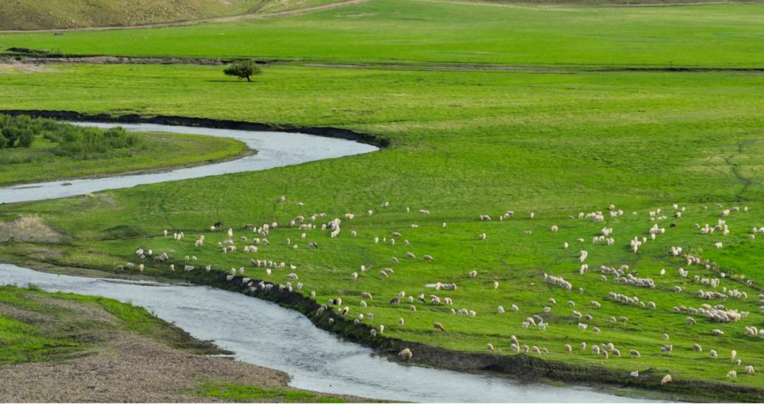 中国内蒙古自治区兴安盟,走进内蒙古兴安盟