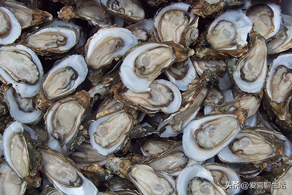 它是“深海牛奶”，蒸一蒸10分钟上桌，男人的加油站女人的美容院