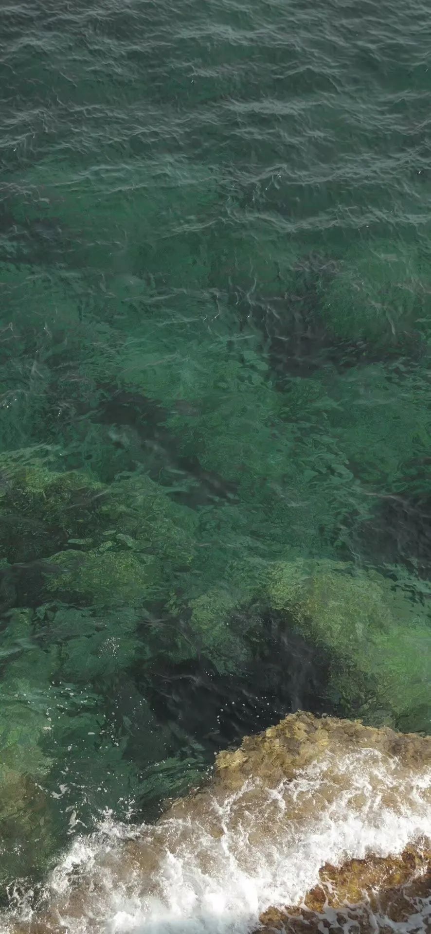 壁纸超清4k幸运壁纸,阴阳师壁纸动态壁纸高清全屏90帧