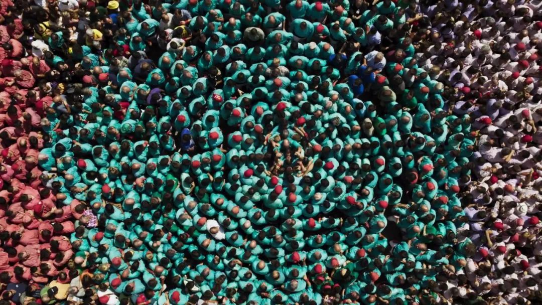 原来它们也有“性丑闻”,这片看完让我大开眼界