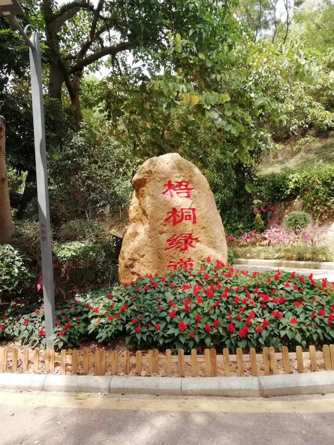 梧桐绿道东湖公园徒步,深圳梧桐绿道步行攻略