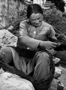 红杉树电视连续剧,红杉树下的小说