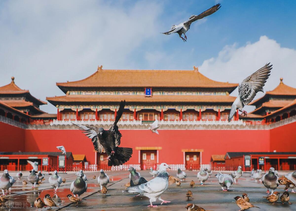 北京网红免费打卡景点,北京旅游哪里好玩免费景点