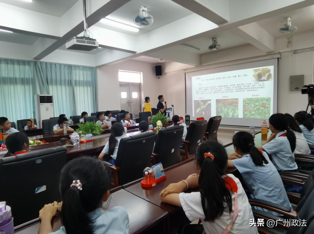 平安伴我成长交通安全进课堂,安全进校园平安记心间