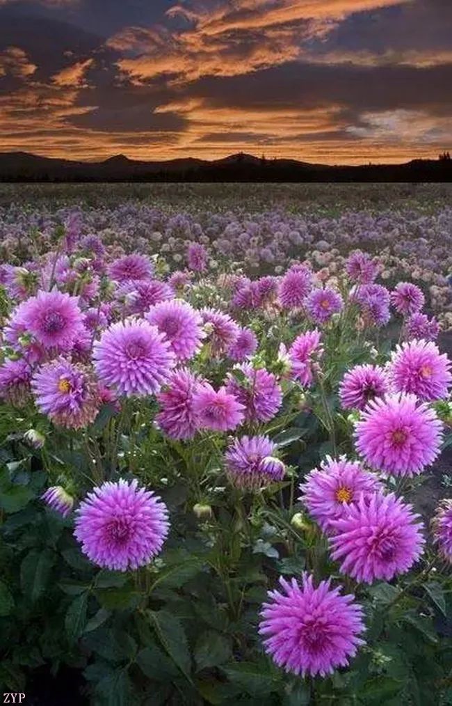 太美了100个世界级美景,全球100张绝世美景