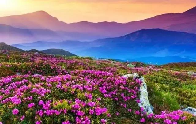 长白山皑皑雪山,长白山高寒