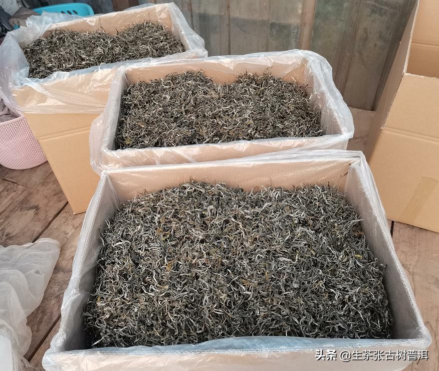 普洱茶哪座山头最好,普洱茶著名茶区