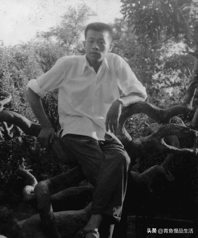 许渊冲视频2010,许渊冲小故事