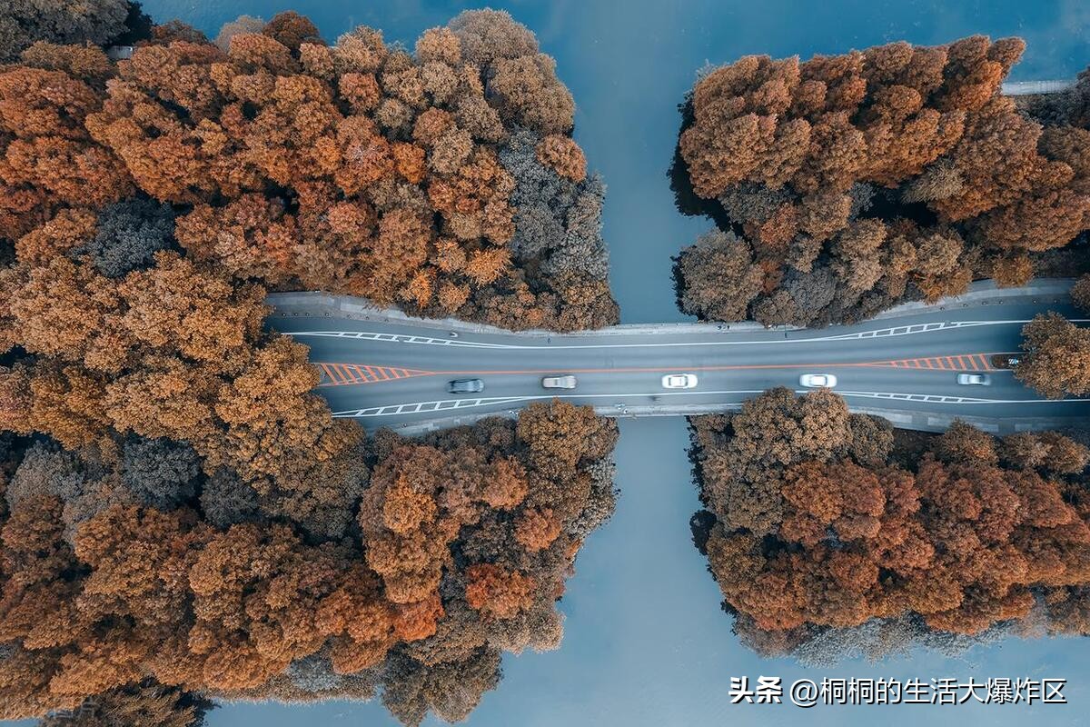 人间天堂杭州视频,旅游推荐杭州一日游