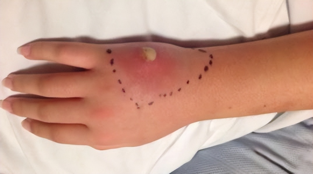 真正的丛林美食有哪些,硬核知识大全100个