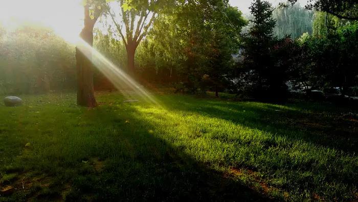 八十年代无线通信兵,八十年代通信兵