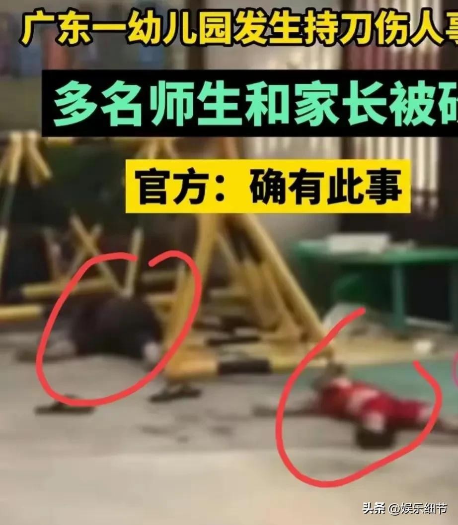 幼儿园歹徒行凶真实事件,幼儿园行凶伤人事件