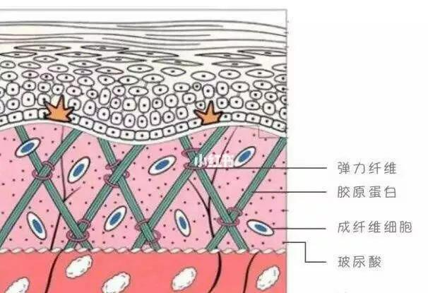 抗皱纹面霜推荐,抗皱纹抗衰面霜推荐
