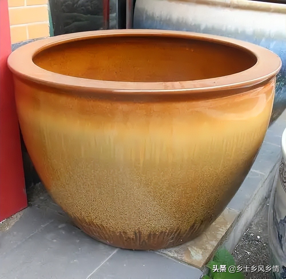 用老水缸养荷花,用老水缸来种荷花