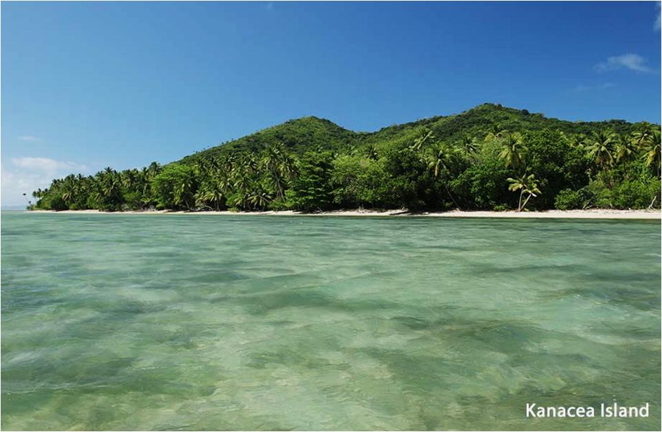 好莱坞影星的至爱岛屿组团出售