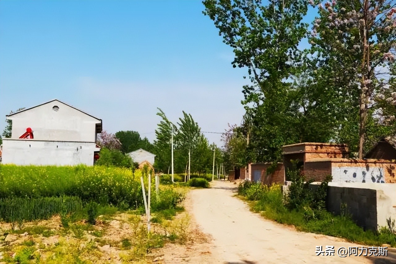 和土地和解,才会真正摆脱国民的劣根性