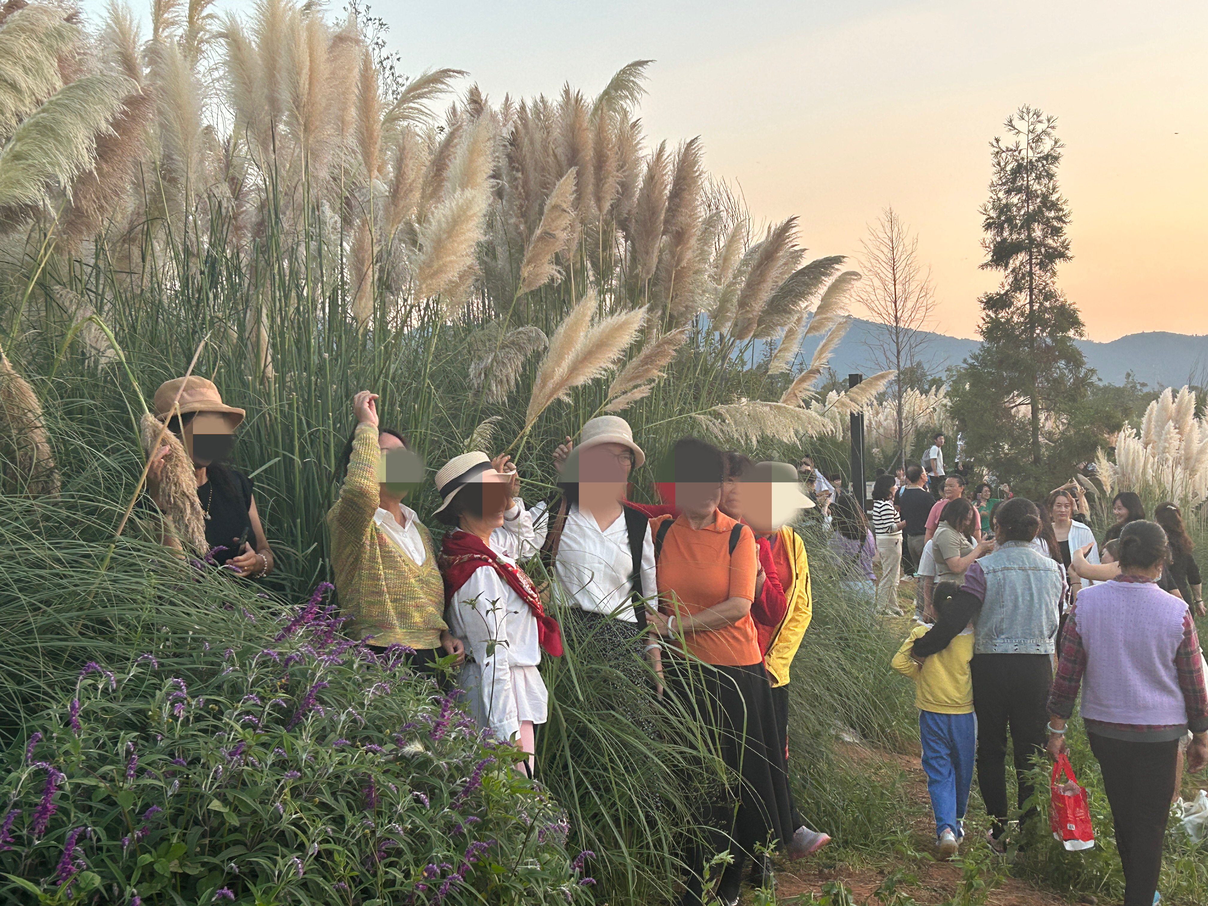 曝光台践踏草坪,不文明曝光台踩踏草坪