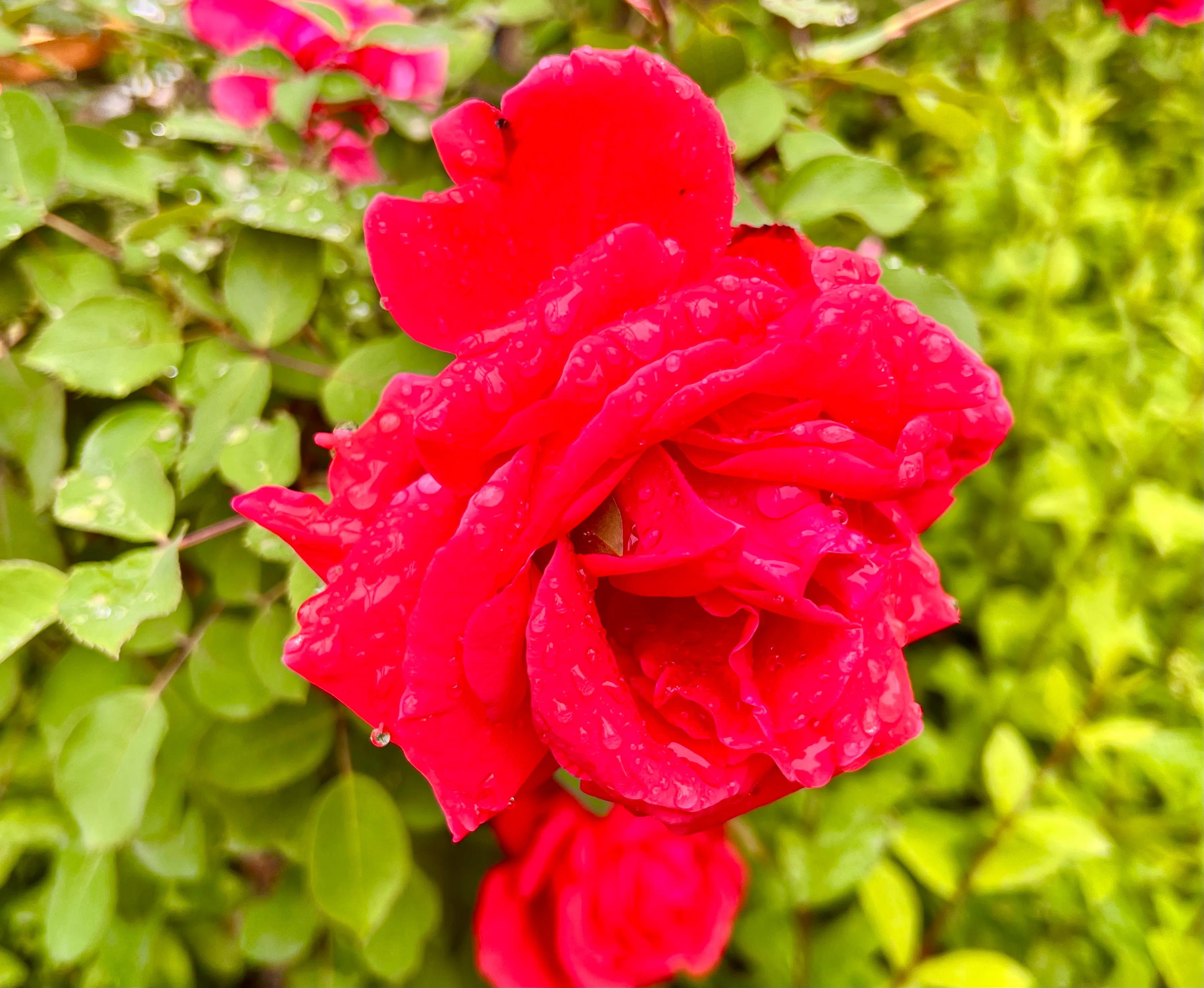 慧眼识得真金,人身上隐藏着神秘的“宝藏”,只是没有人去识别