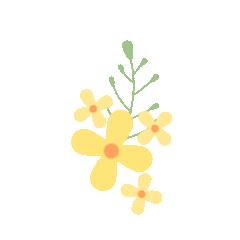 新都足球公园,新都木兰兴城足球公园