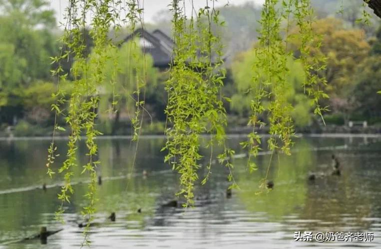 现代春天诗歌大全100首,春天古诗大全100首小学