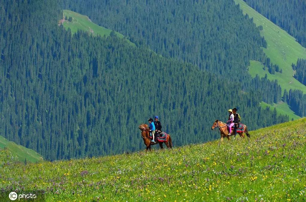 来新疆一定要避开的坑,新疆旅行一定要看的避坑建议