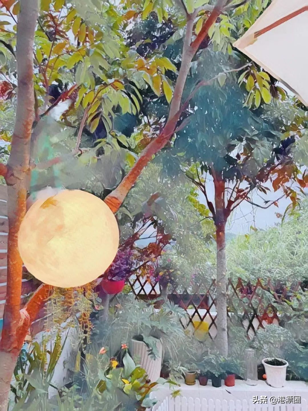 我在香港搬进一个带花园的房子后，直接瘦了六斤……