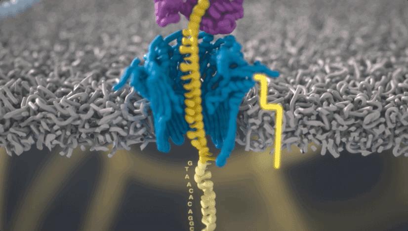 电脑插个“U盘”就能给基因测序，实时查看结果，售价1000美元