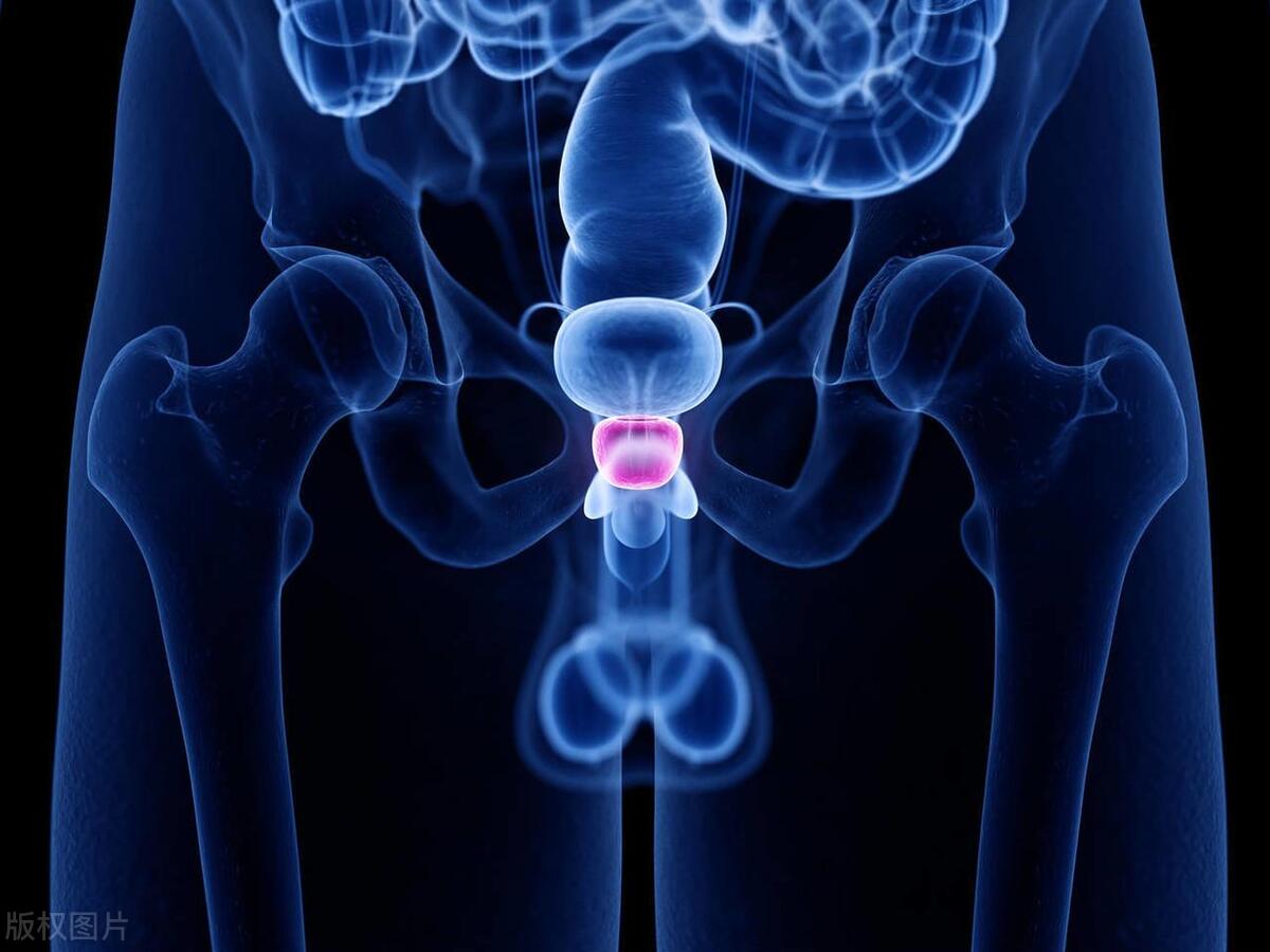 蛋蛋的大小,对男性的生育功能有影响吗?正常的标准是多少?