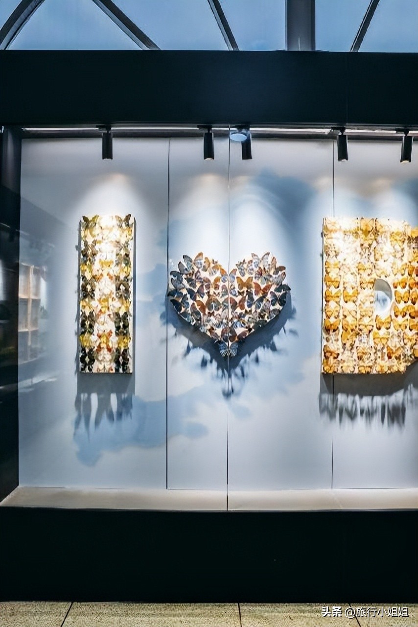 夏日海边浪漫迷人,滨城风光秀丽浪漫气息爆表