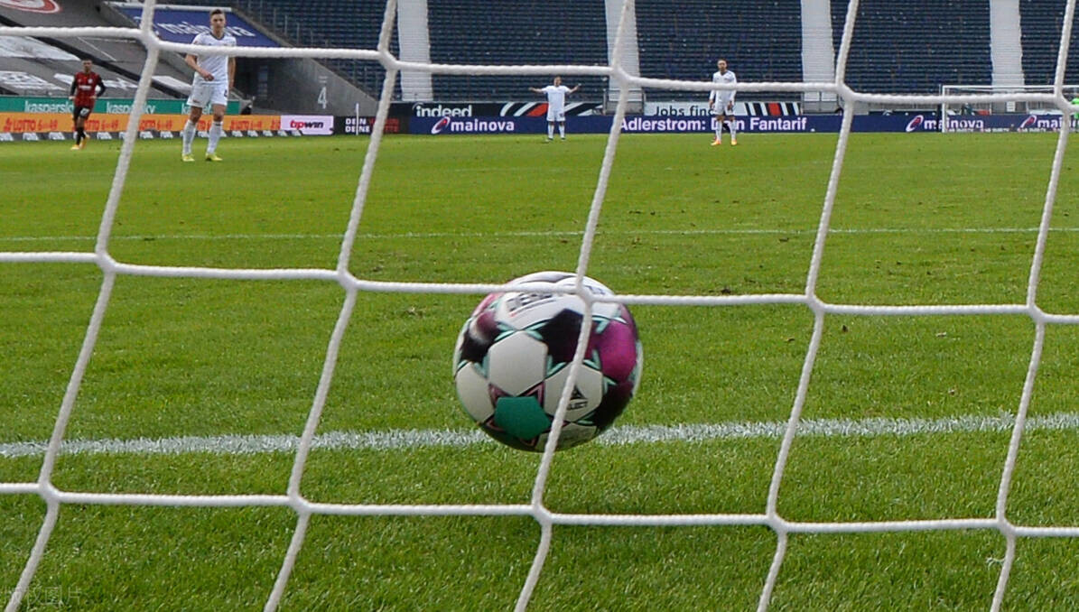 伪球迷的意义,伪球迷行为