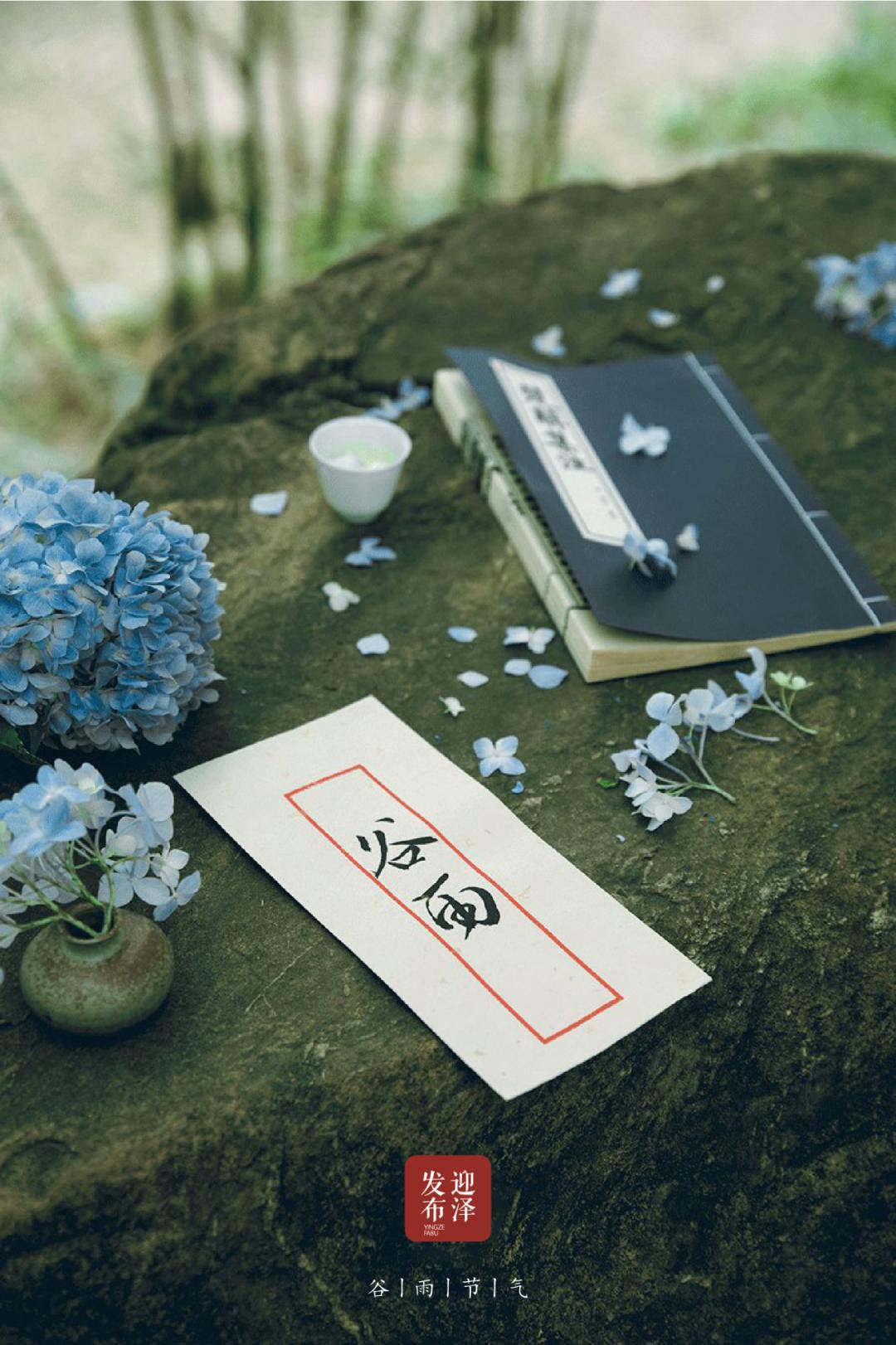 二十四节气之谷雨春光晓,24节气初夏的特点