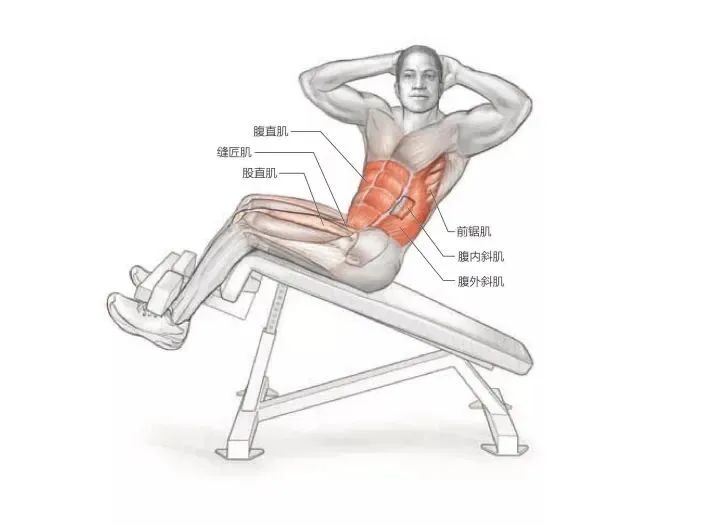 一天就能练出腹肌马甲线的动作,腹肌马甲线练习最佳时间与动作