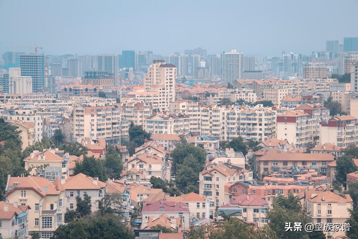 青岛家谱大全,寻根31集免费观看