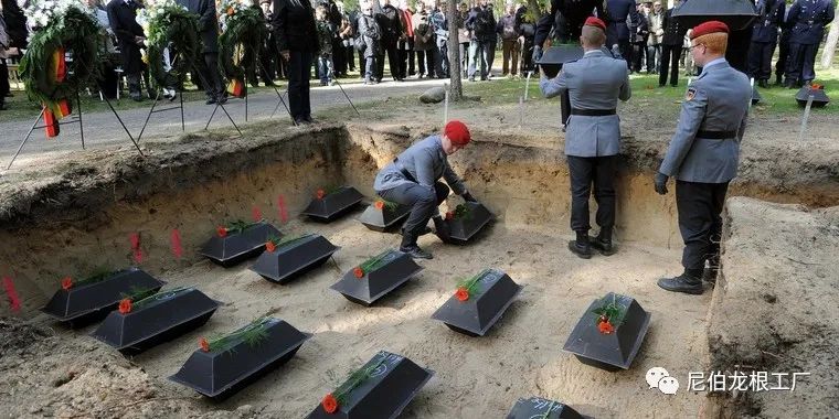 好收吾骨瘴江边全诗,好收吾骨瘴江边翻译