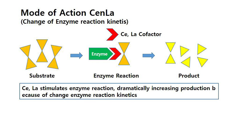 有机*土稀**稀卫诺对肉牛日粮中各种营养素吸收的影响