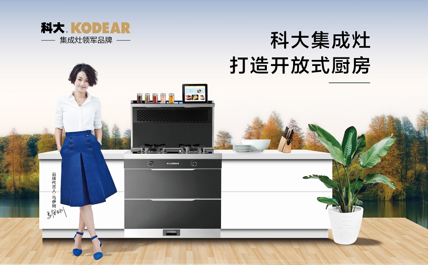 2021集成灶二线品牌有哪些,集成灶十大名牌2021价格