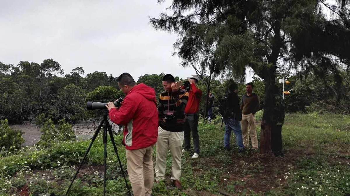 杭州钓鱼男子救人,广东男子在河边救下一只怪鸟
