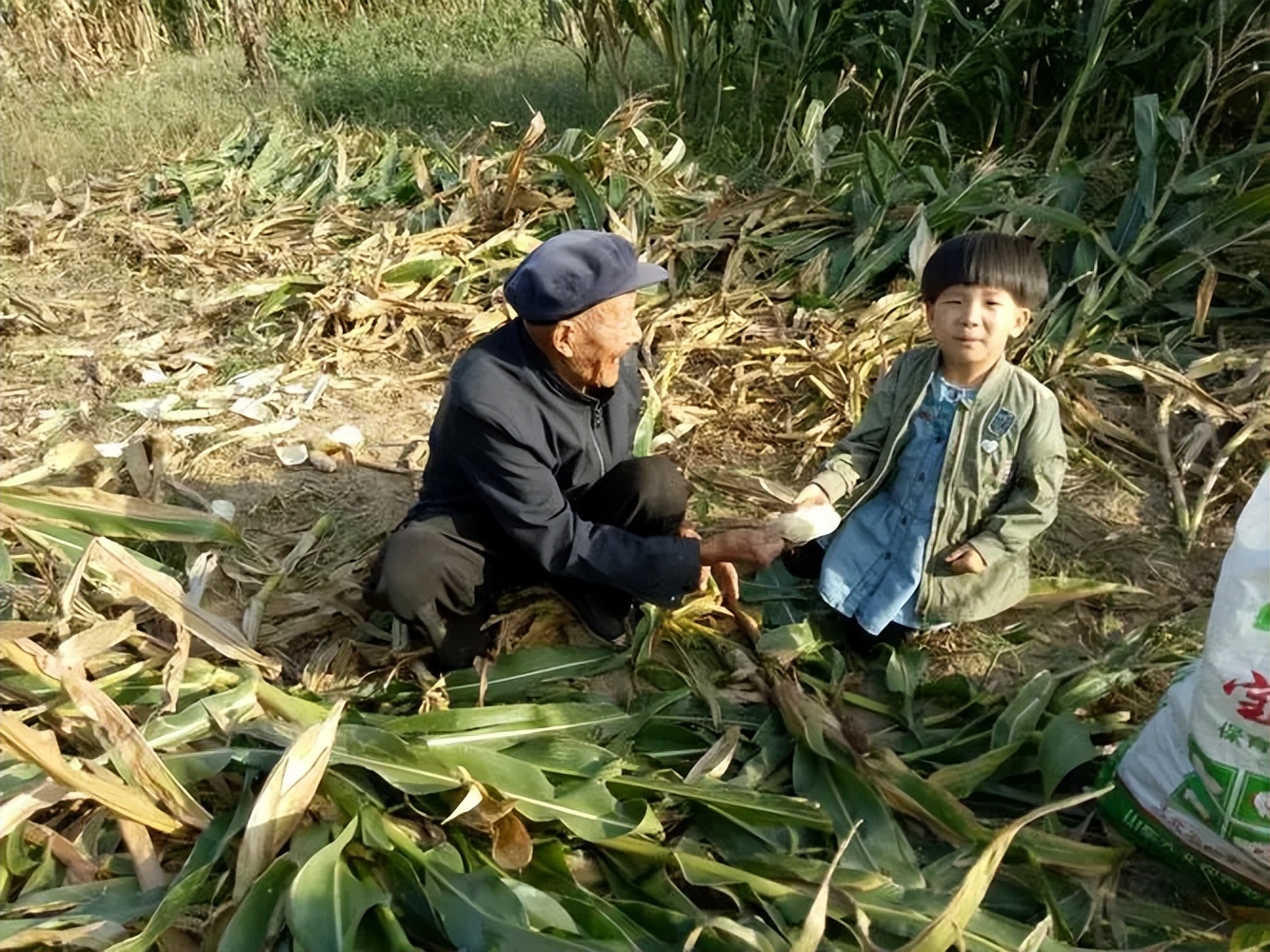 青年无妻无儿去世葬礼怎么办,如果无儿无女死后丧事怎么办