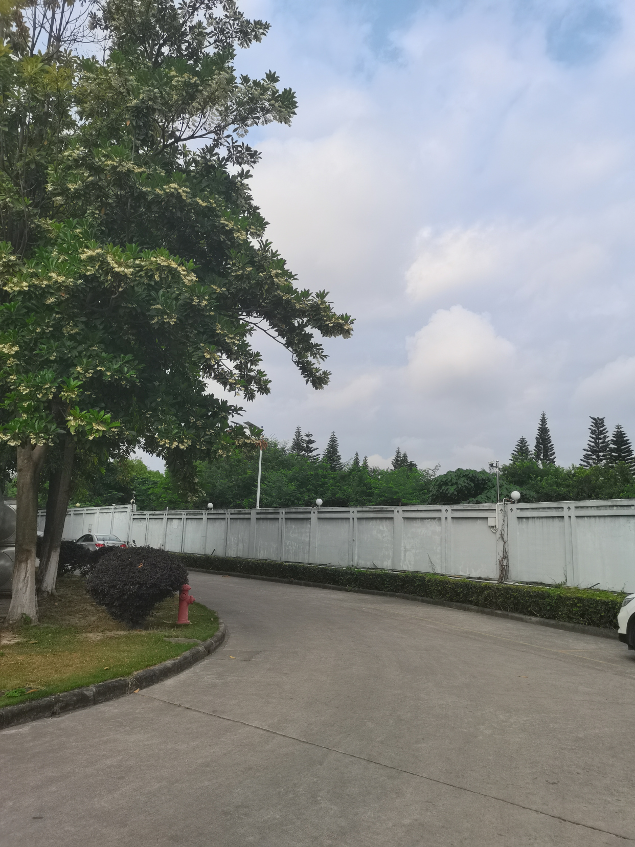 鍚戝墠璺戠殑椋庢櫙,璺戣捣鏉ョ殑椋庢櫙