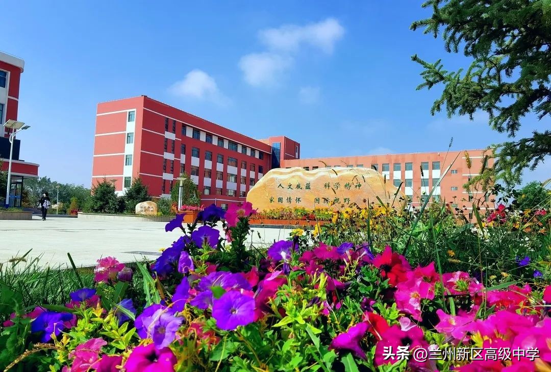 兰州新区高级中学学子在信息素养提升实践活动中斩获多个奖项