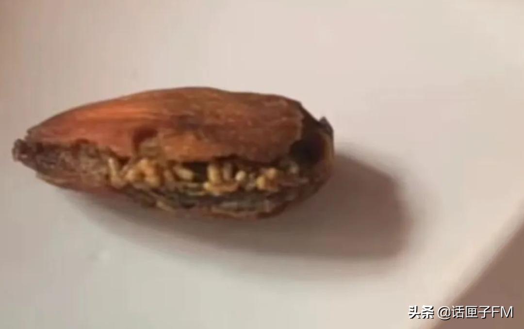 头皮发麻是寄生虫的原因吗,吃了坚果里的虫卵怎么办