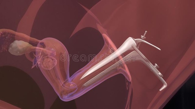 取完卵泡卵巢需要多久恢复,试管取完卵后卵巢要多久恢复