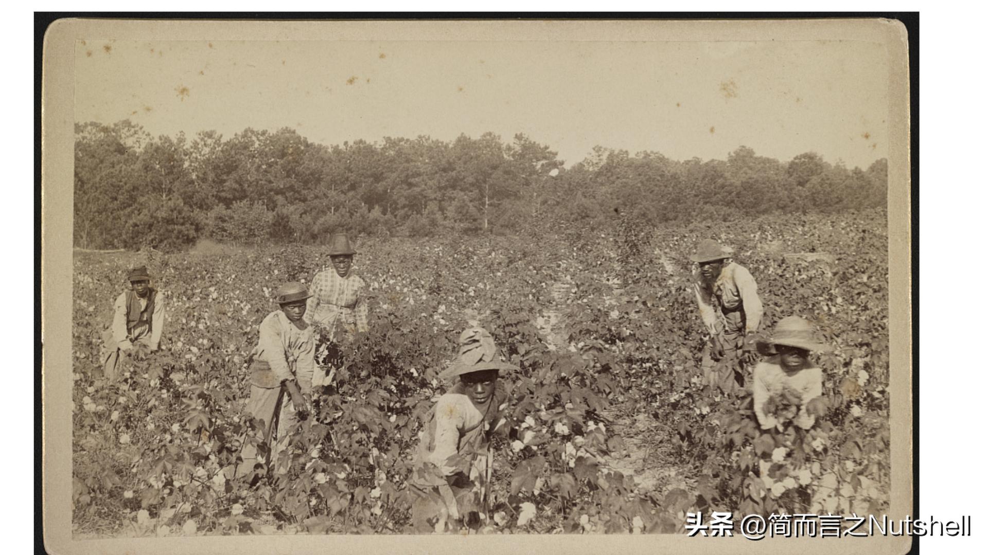 美国内战怎么引起的,是什么导致了美国内战