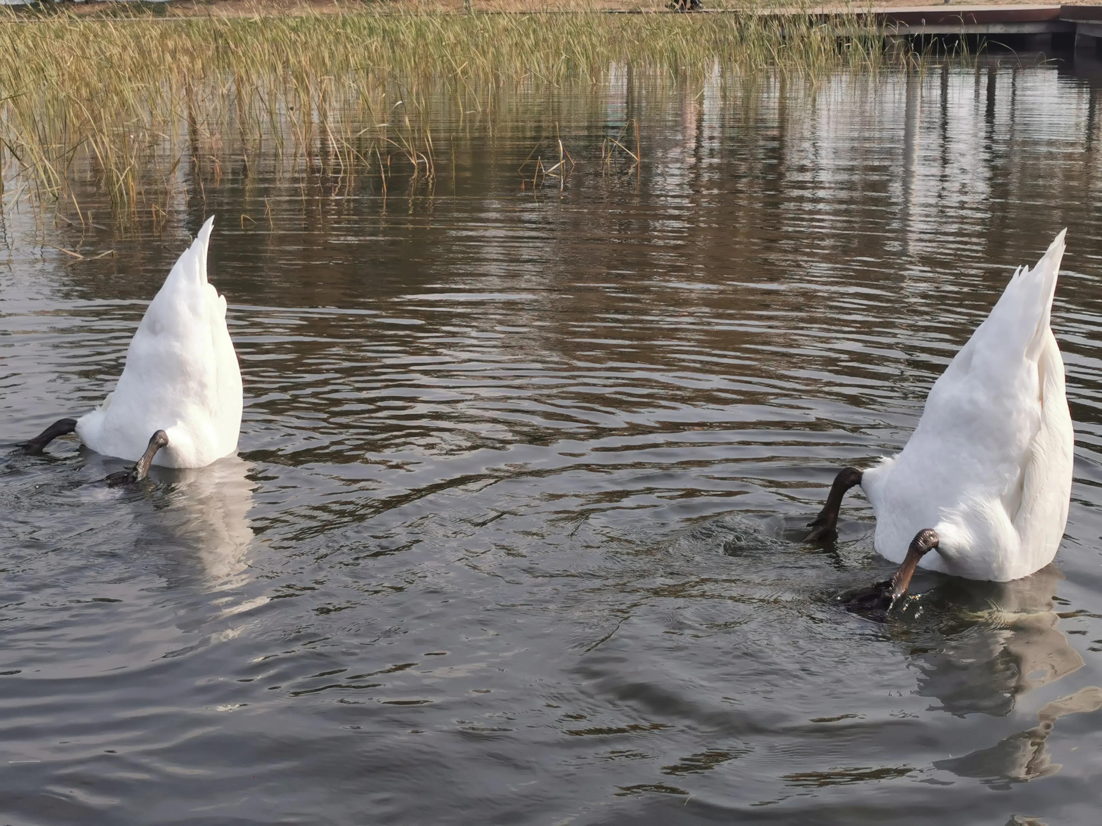 郑州夏季周末带孩子去哪里玩好,郑州周末带孩子去哪里玩比较好