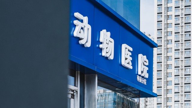 现行法律未赋予动物主体资格,动物医疗合同适用民法典合同编规定