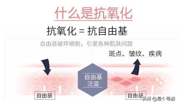 富勒烯对皮肤的功效以及价格,富勒烯护肤效果