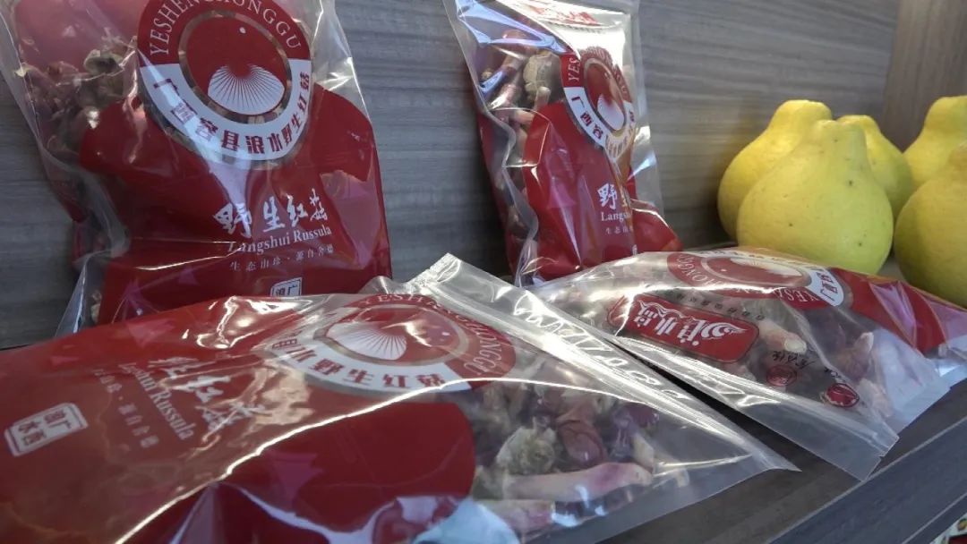 菌菇种植产业带动增收致富,菌菇种植助农增收