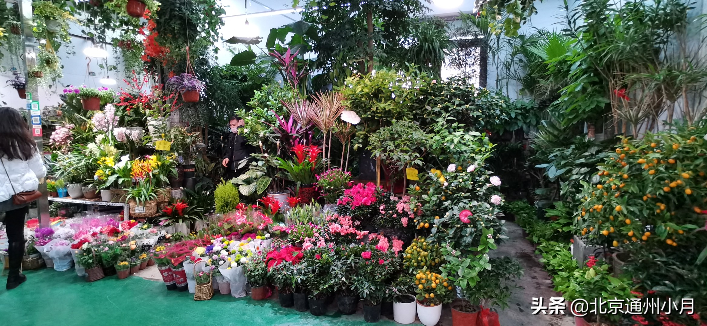 北京周边大型花市,北京花市推荐