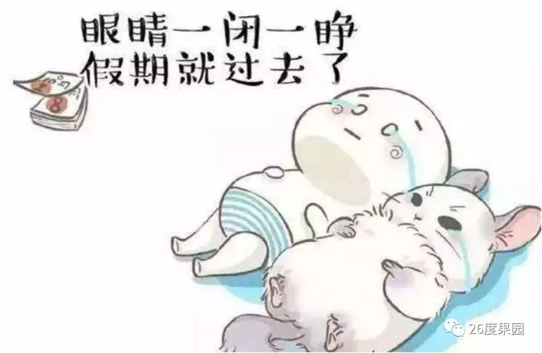 26哥的直播间,26哥视频