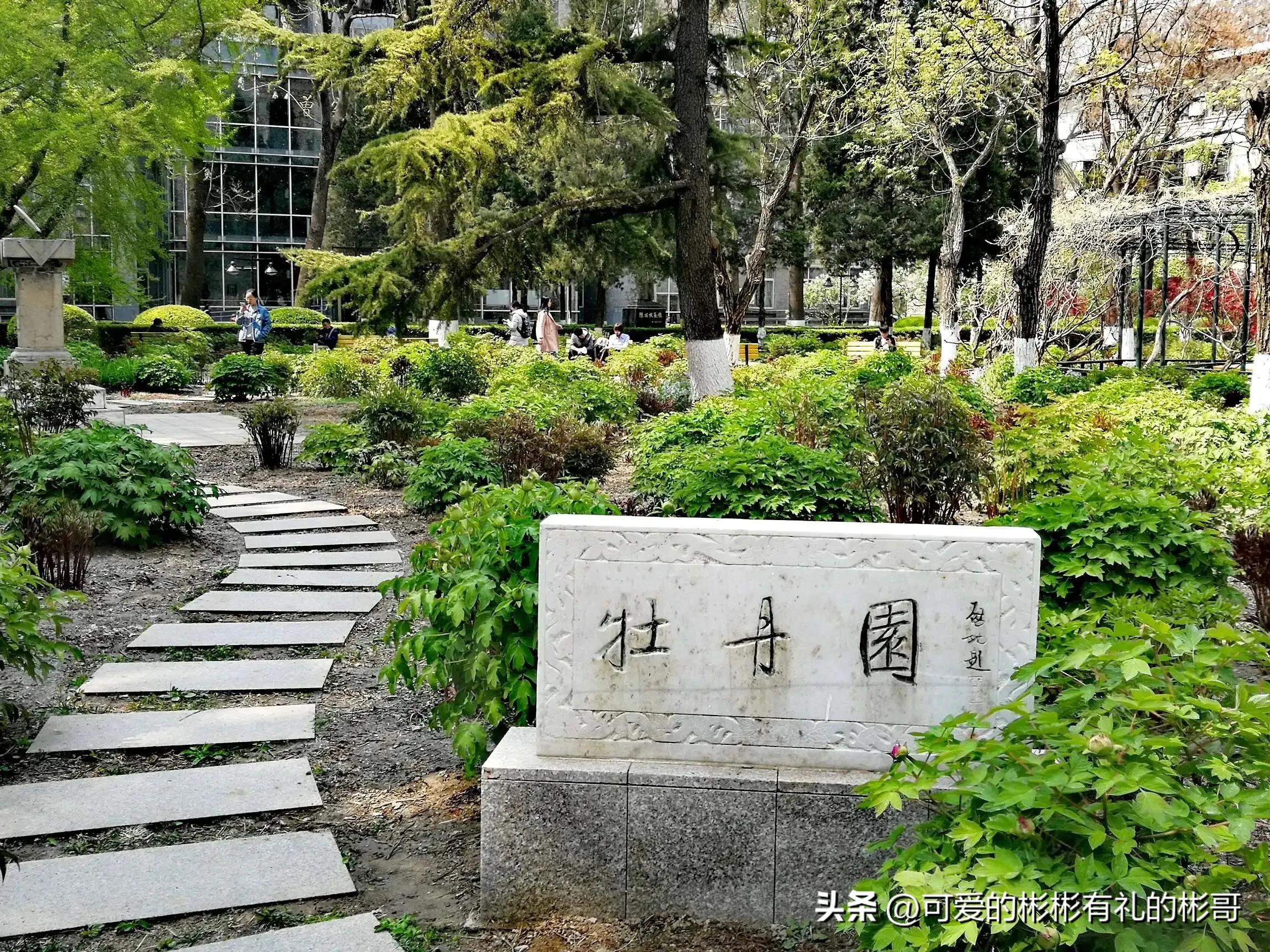 北京师范大学，全国师范类最高学府，就业和升学都非常可观